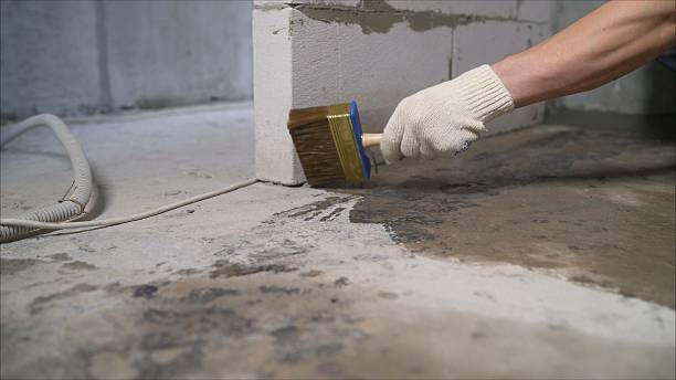 24/7 Emergency Wet Basement Repair experts in Maplesville, AL